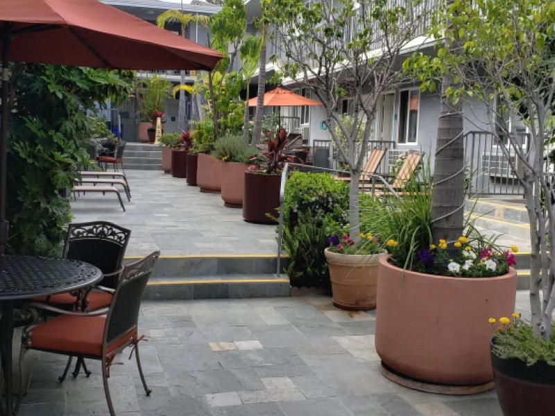 Beautiful courtyard patio with slate tile, patio tables and umbrellas, lounges, BBQ's, and lush landscaping