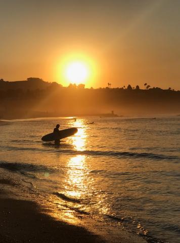 Golden Sunset at the beach with a surfer heading out into the waves