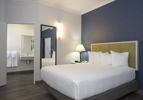 Queen Accessible Room