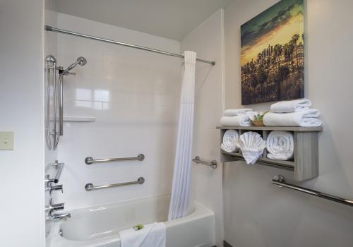 ADA accessible bathtub